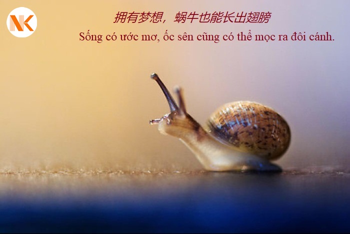 Những câu status bằng tiếng Trung siêu ‘deep’ giúp bạn tha hồ sống